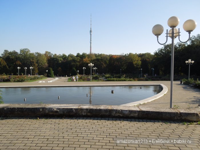 Георгины , пальмы , розы ИЛИ " мои заготовки хорошего настроения на зиму " | Бэйбики Георгины , пальмы , розы ИЛИ " мои заготовки хорошего настроения на зиму "