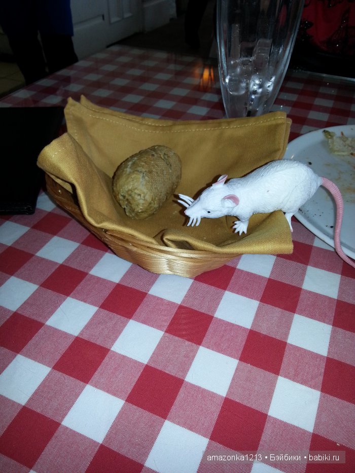 По следам прошедших выставок