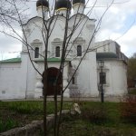 В один воскресный день