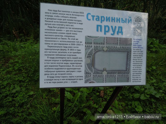 Залючительная часть .Воскресный день в раю ИЛИ снова - цветочки