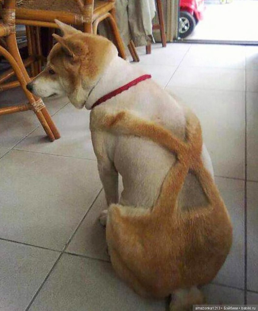 Давайте улыбнёмся .:) — Болталка и разговоры обо всем: жизнь