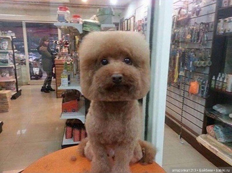 Давайте улыбнёмся .:) — Болталка и разговоры обо всем: жизнь