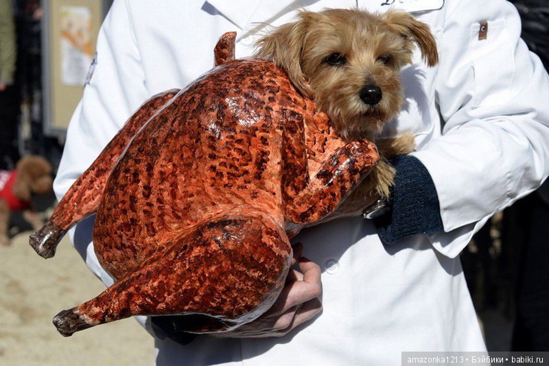 Давайте улыбнёмся .:) — Болталка и разговоры обо всем: жизнь (фото 9)