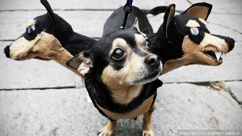 Давайте улыбнёмся .:) — Болталка и разговоры обо всем: жизнь (фото 7)