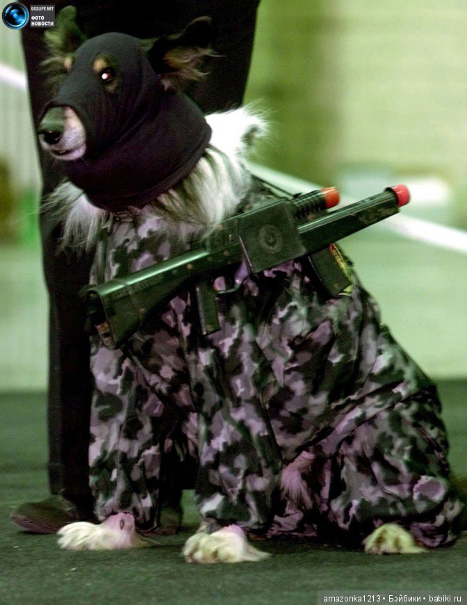 Давайте улыбнёмся .:) — Болталка и разговоры обо всем: жизнь (фото 3)