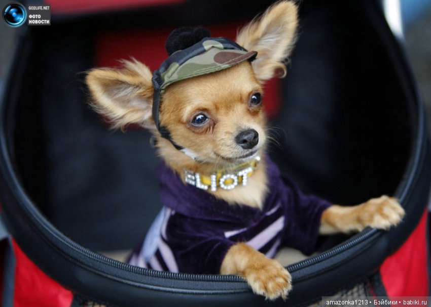 Давайте улыбнёмся .:) — Болталка и разговоры обо всем: жизнь