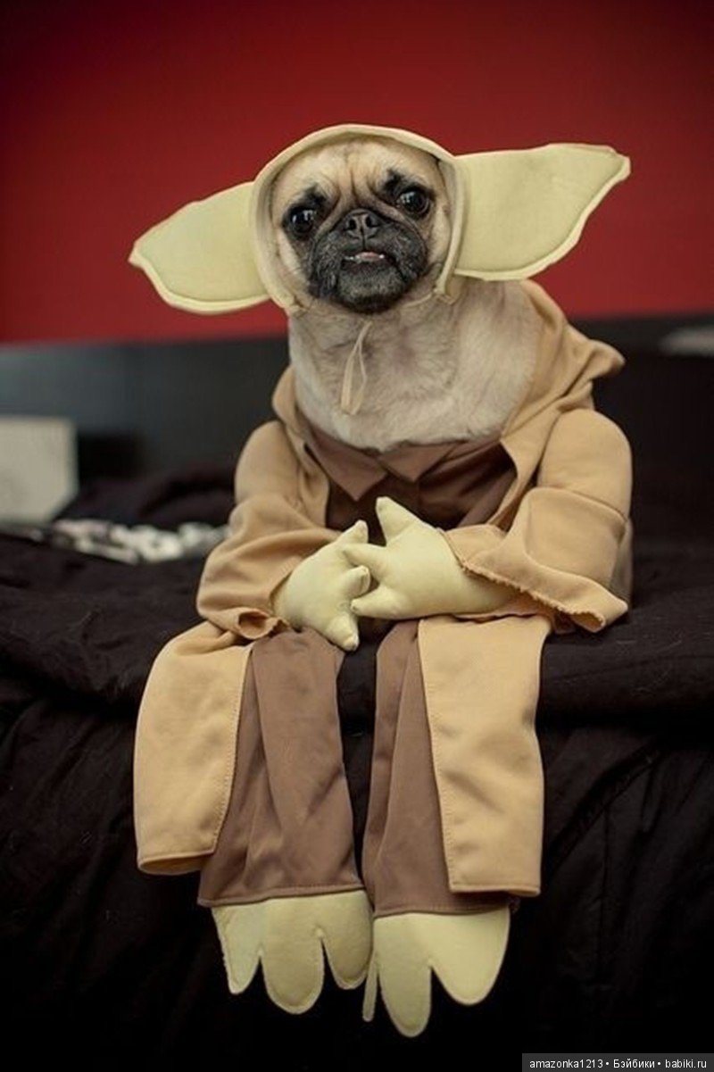 Давайте улыбнёмся .:) — Болталка и разговоры обо всем: жизнь