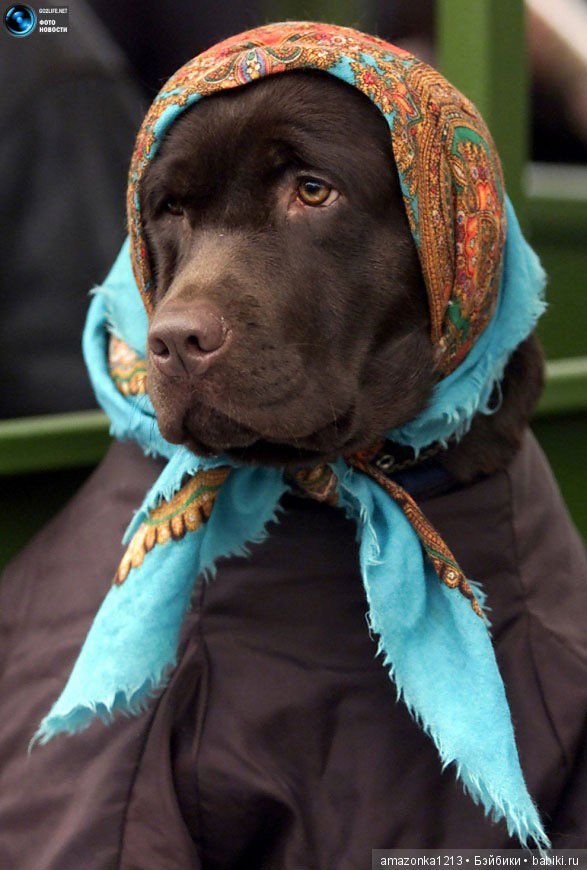 Давайте улыбнёмся .:) — Болталка и разговоры обо всем: жизнь (фото 2)