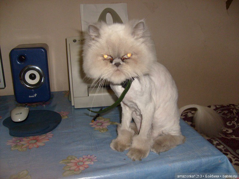 Давайте улыбнёмся .:) — Болталка и разговоры обо всем: жизнь