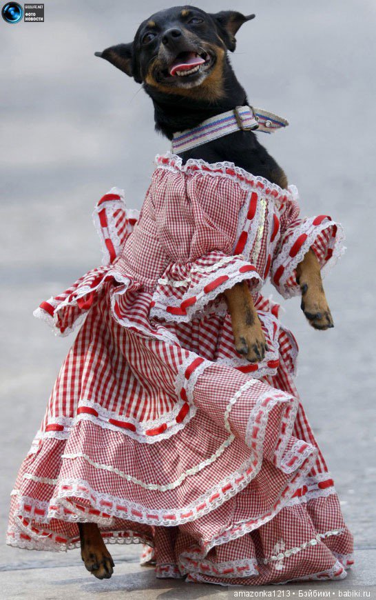 Давайте улыбнёмся .:) — Болталка и разговоры обо всем: жизнь (фото 8)