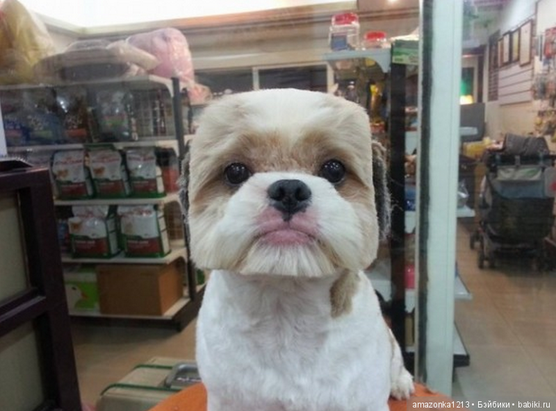 Давайте улыбнёмся .:) — Болталка и разговоры обо всем: жизнь