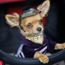 Давайте улыбнёмся .:)