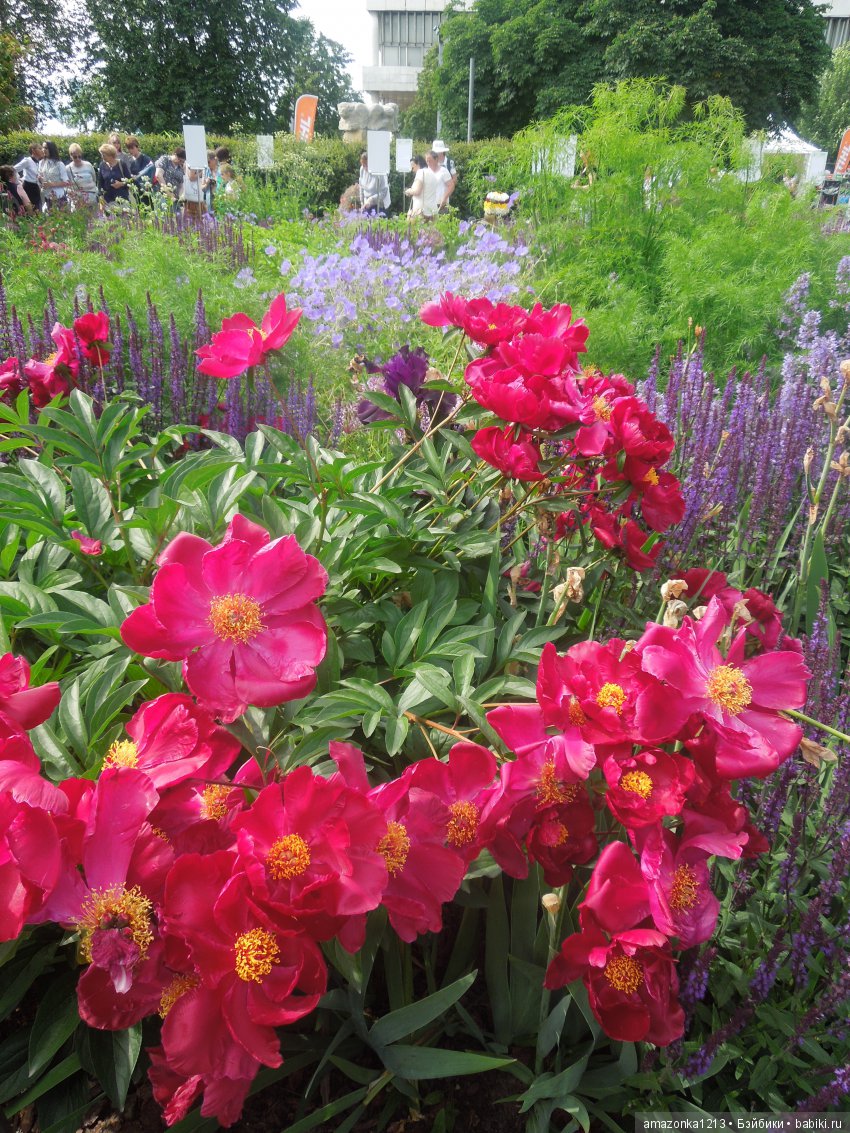 Мои прогулки по Москве . Парк Музеон . Часть 1