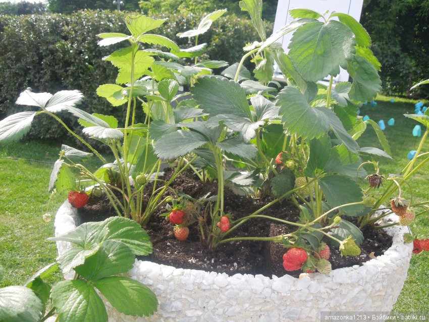 Мои прогулки по Москве . Парк Музеон . Часть 2