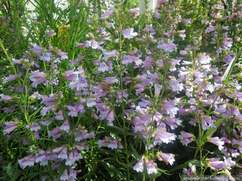 Мои прогулки по Москве . Парк Музеон . Часть 2