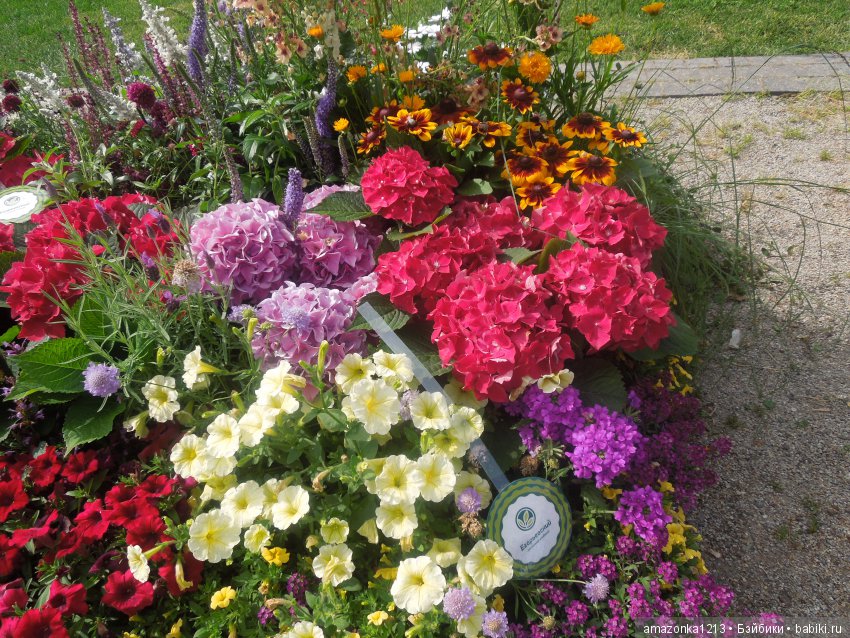 Мои прогулки по Москве . Парк Музеон . Часть 2 (фото 8)