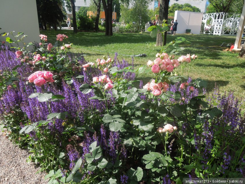 Мои прогулки по Москве . Парк Музеон . Часть 2