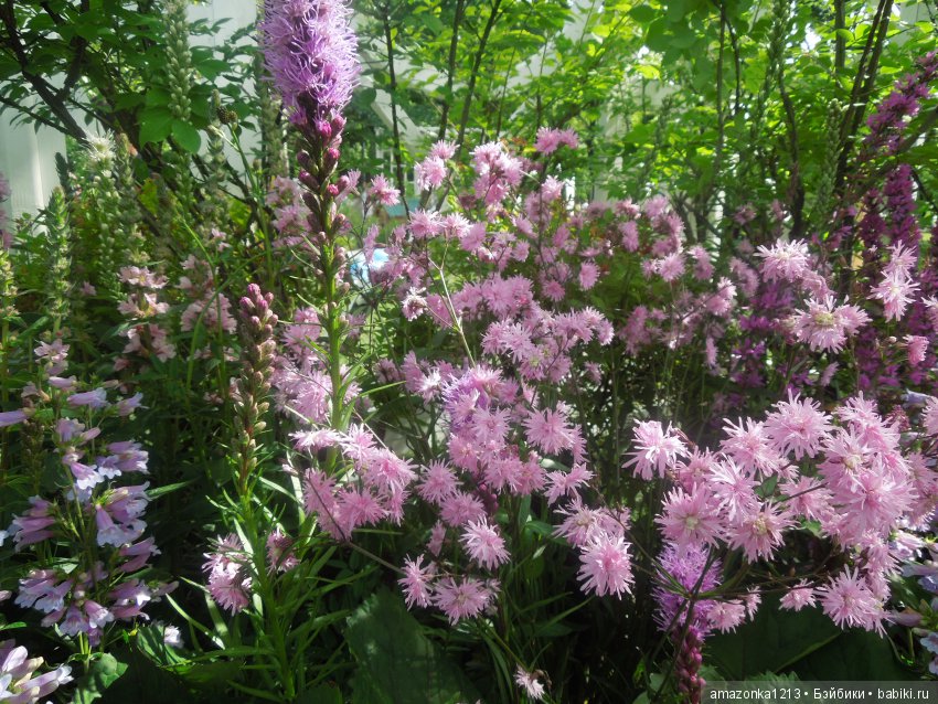 Мои прогулки по Москве . Парк Музеон . Часть 2