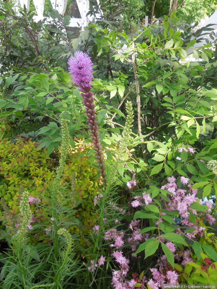 Мои прогулки по Москве . Парк Музеон . Часть 2