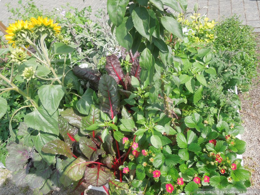 Мои прогулки по Москве . Парк Музеон . Часть 2