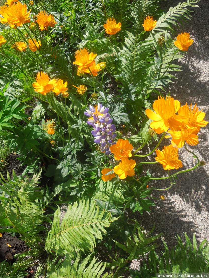 Мои прогулки по Москве . Парк Музеон . Часть 2