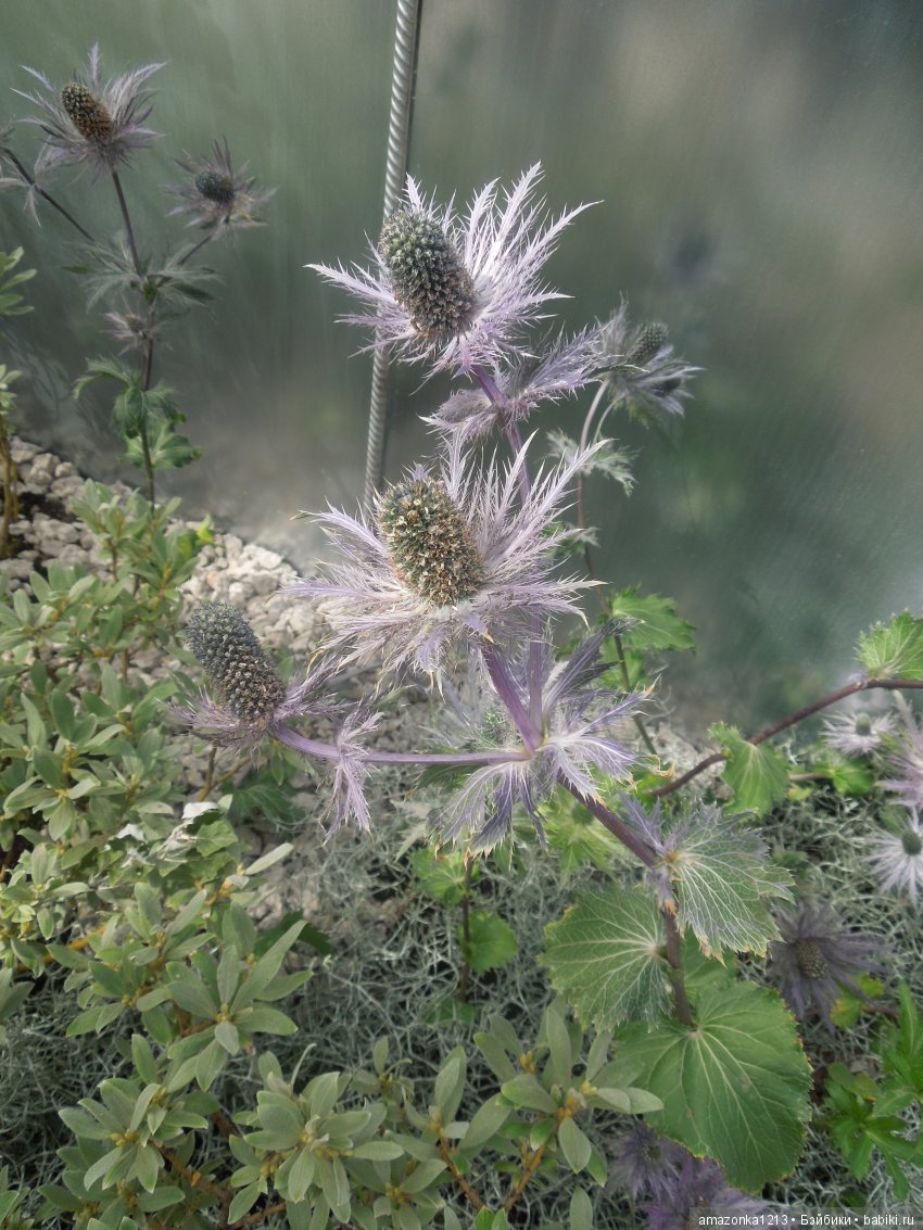 Мои прогулки по Москве . Парк Музеон . Часть 2
