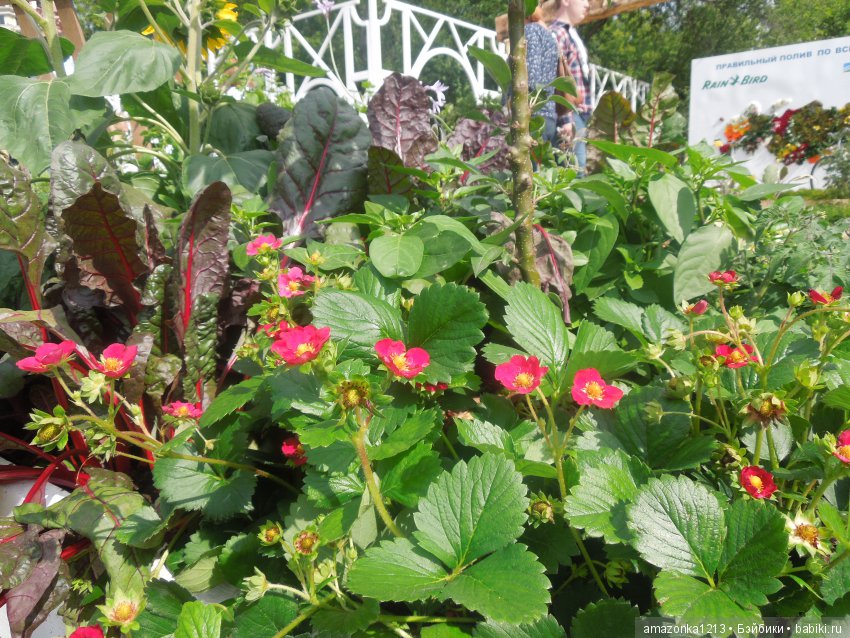 Мои прогулки по Москве . Парк Музеон . Часть 2