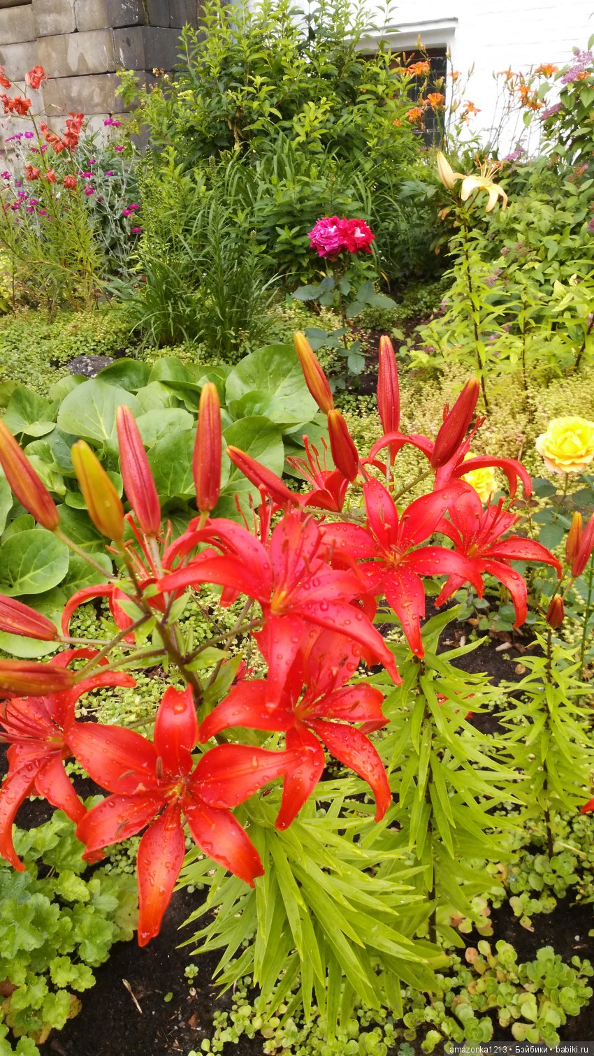 Прогулки по Москве . Усадьба Измайлово (фото 7)