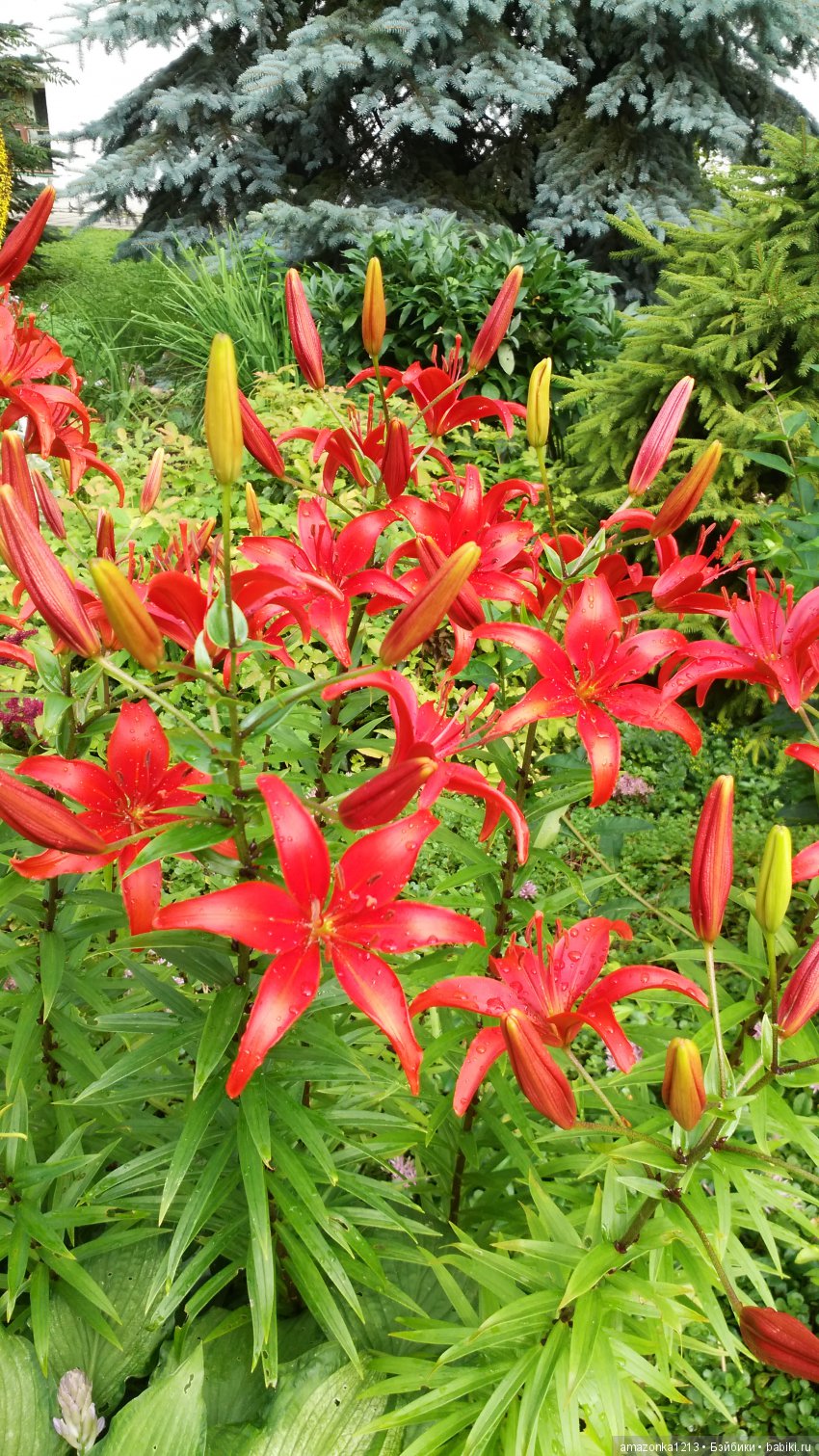 Прогулки по Москве . Усадьба Измайлово (фото 6)