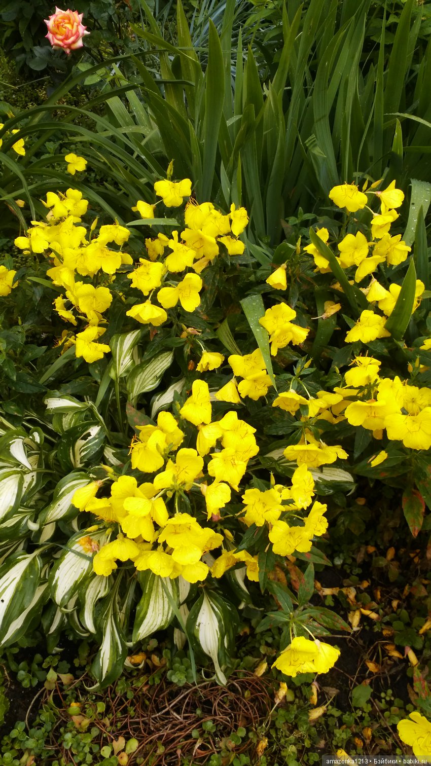 Прогулки по Москве . Усадьба Измайлово