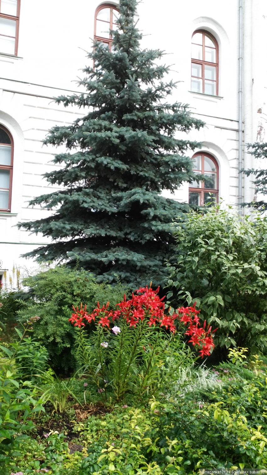 Прогулки по Москве . Усадьба Измайлово (фото 9)