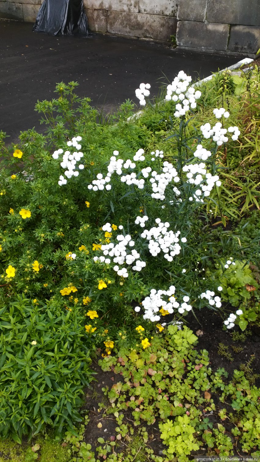 Прогулки по Москве . Усадьба Измайлово