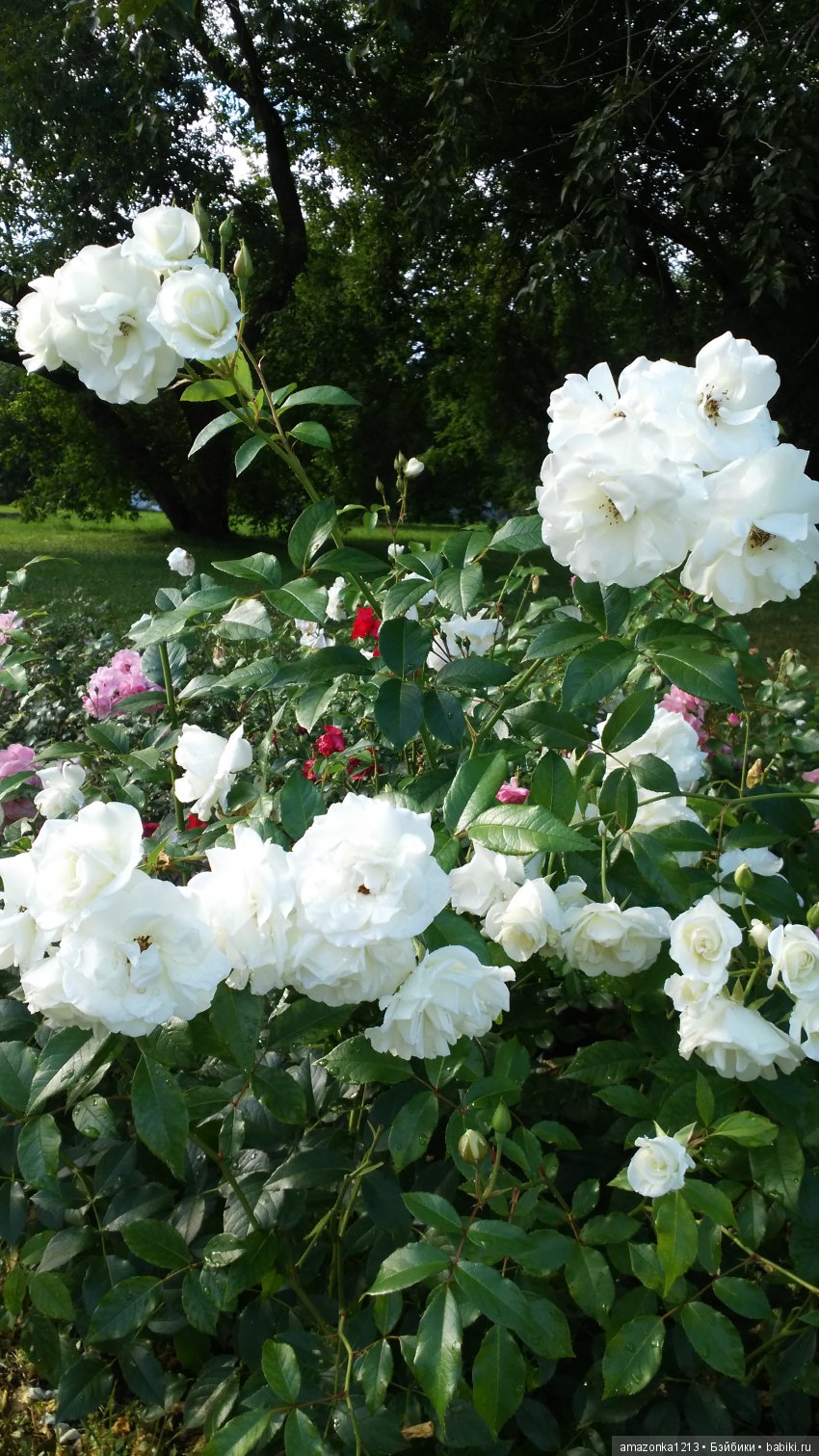 Прогулки по Москве . Усадьба Измайлово