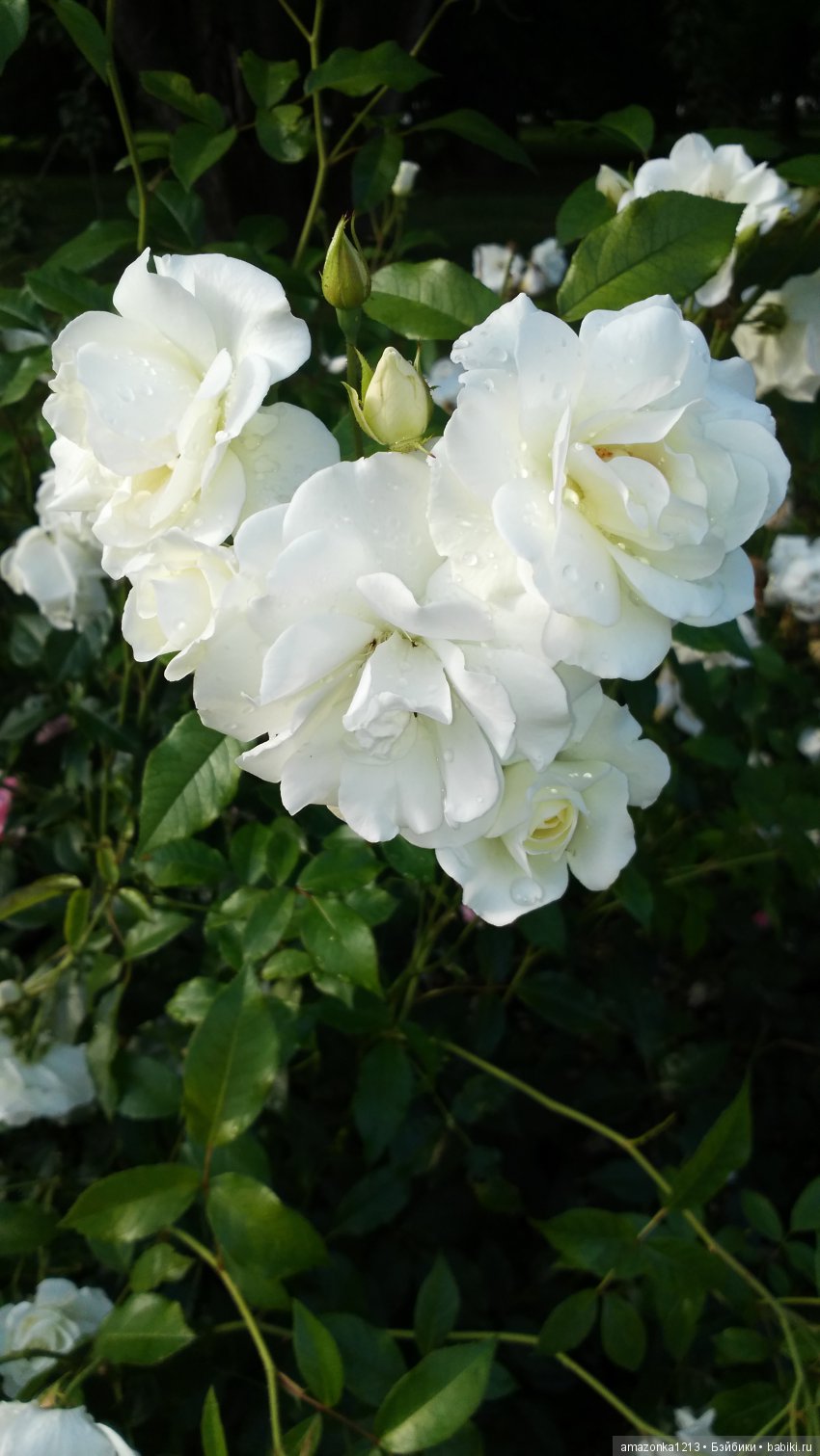 Прогулки по Москве . Усадьба Измайлово