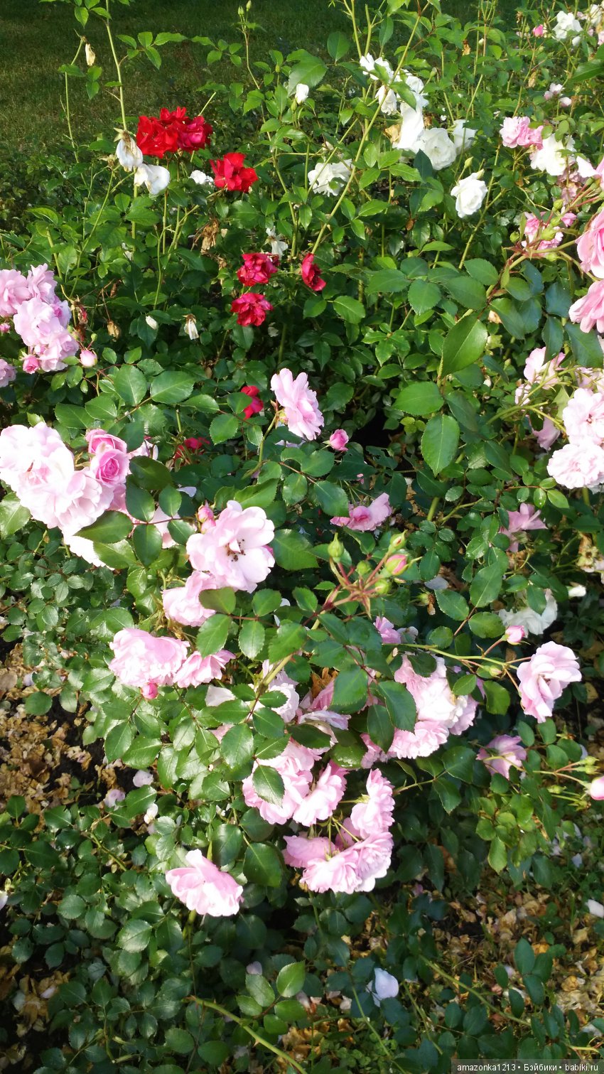 Прогулки по Москве . Усадьба Измайлово