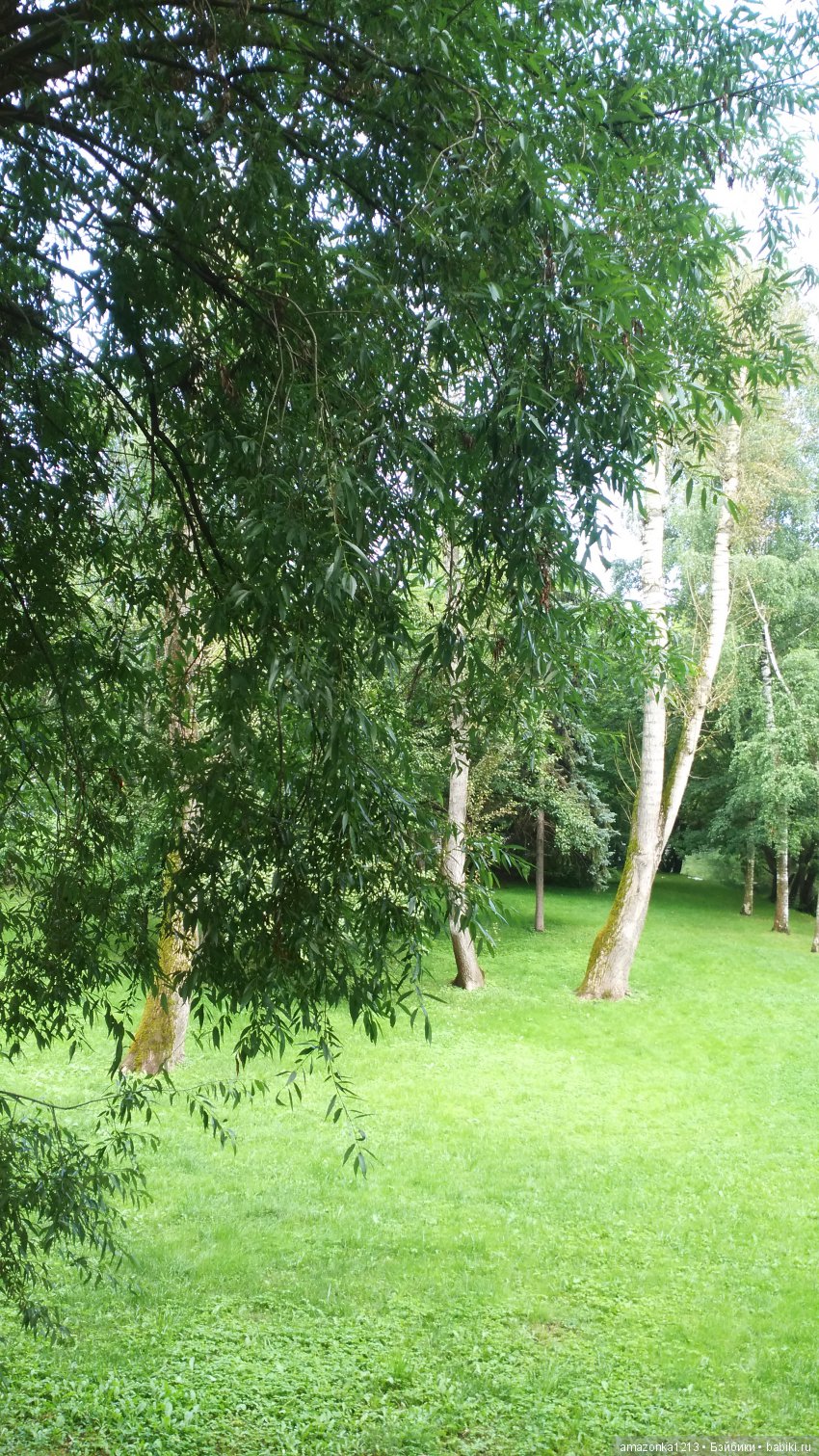 Прогулки по Москве . Усадьба Измайлово (фото 3)