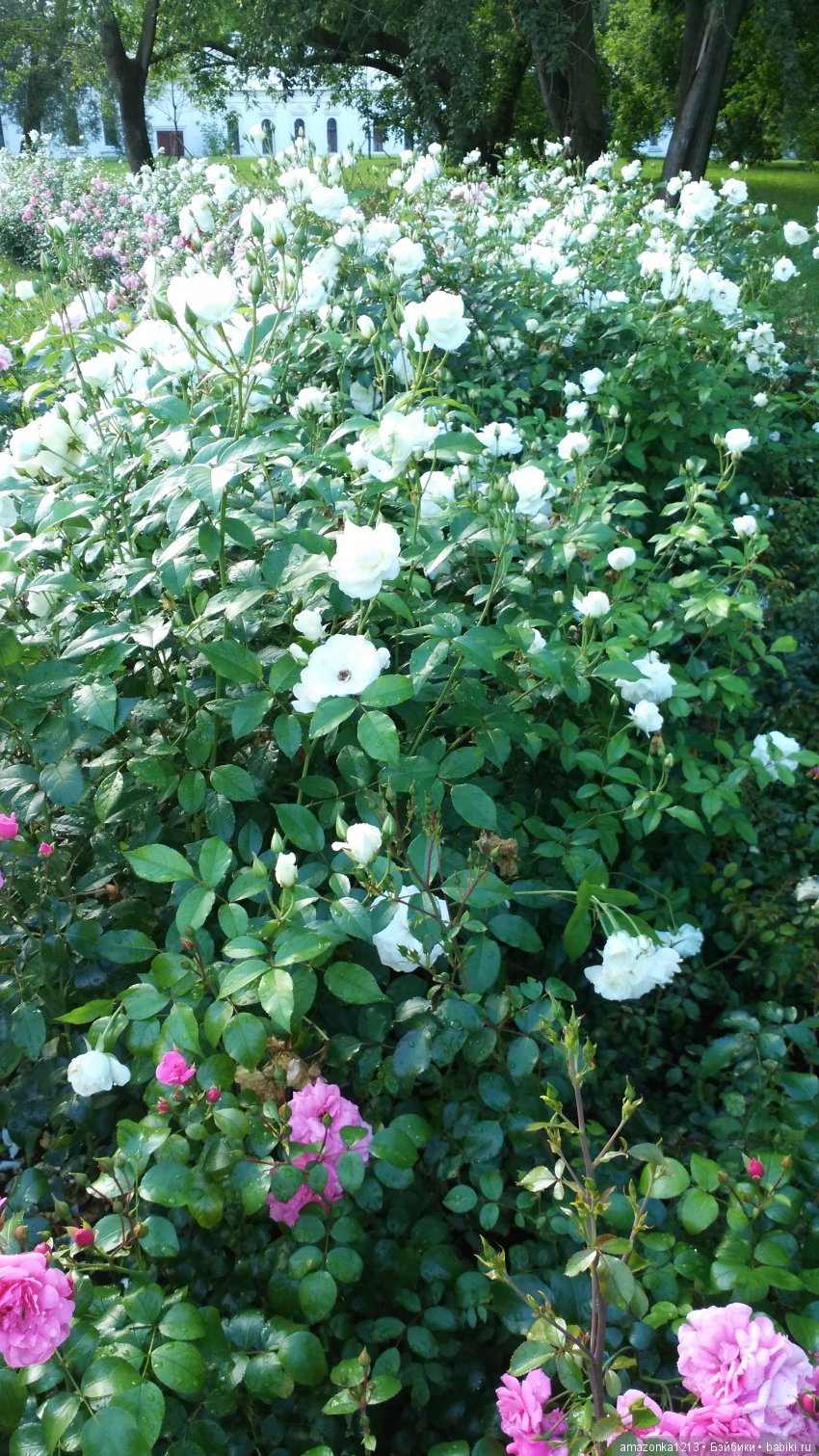 Прогулки по Москве . Усадьба Измайлово