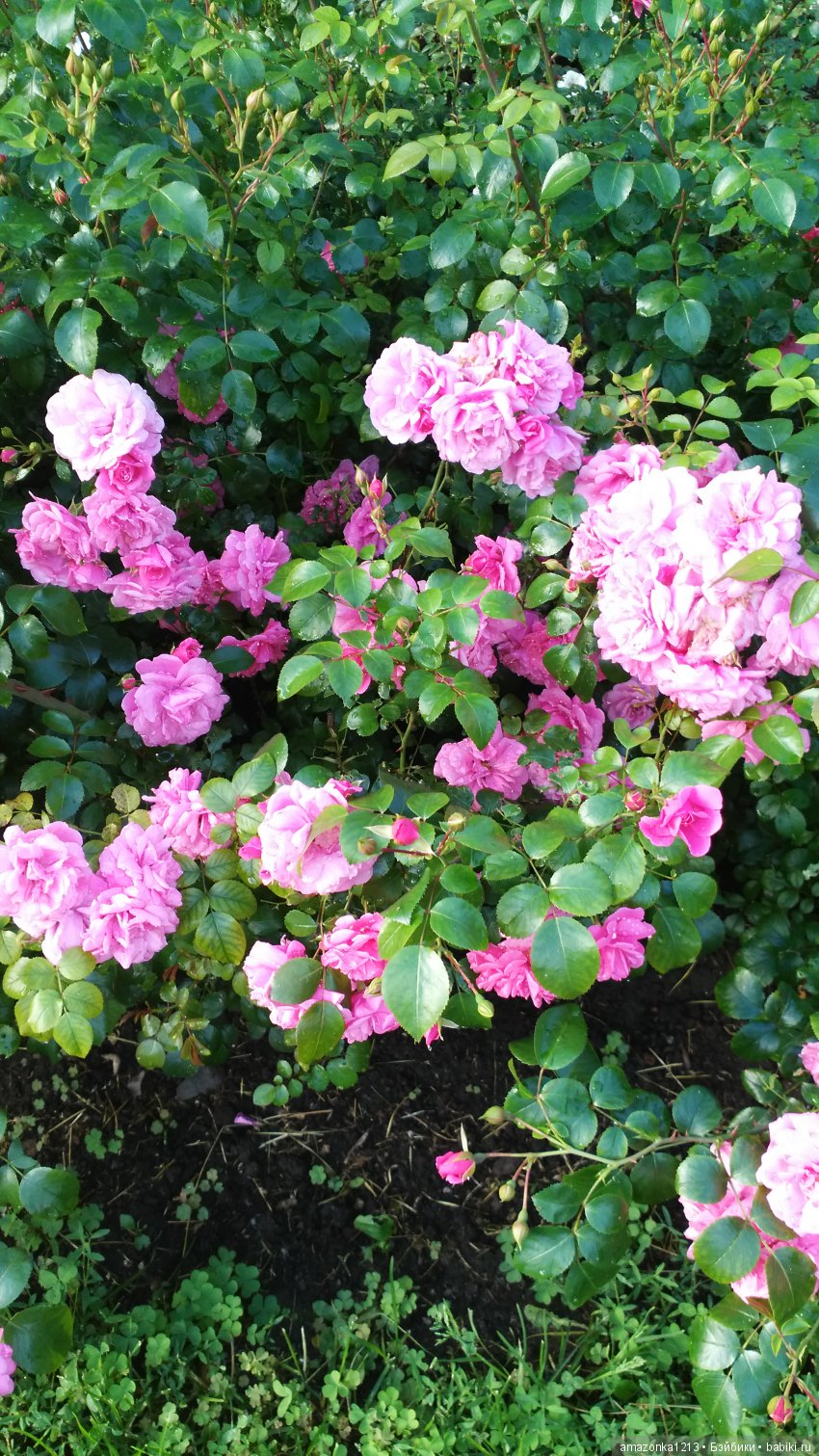 Прогулки по Москве . Усадьба Измайлово