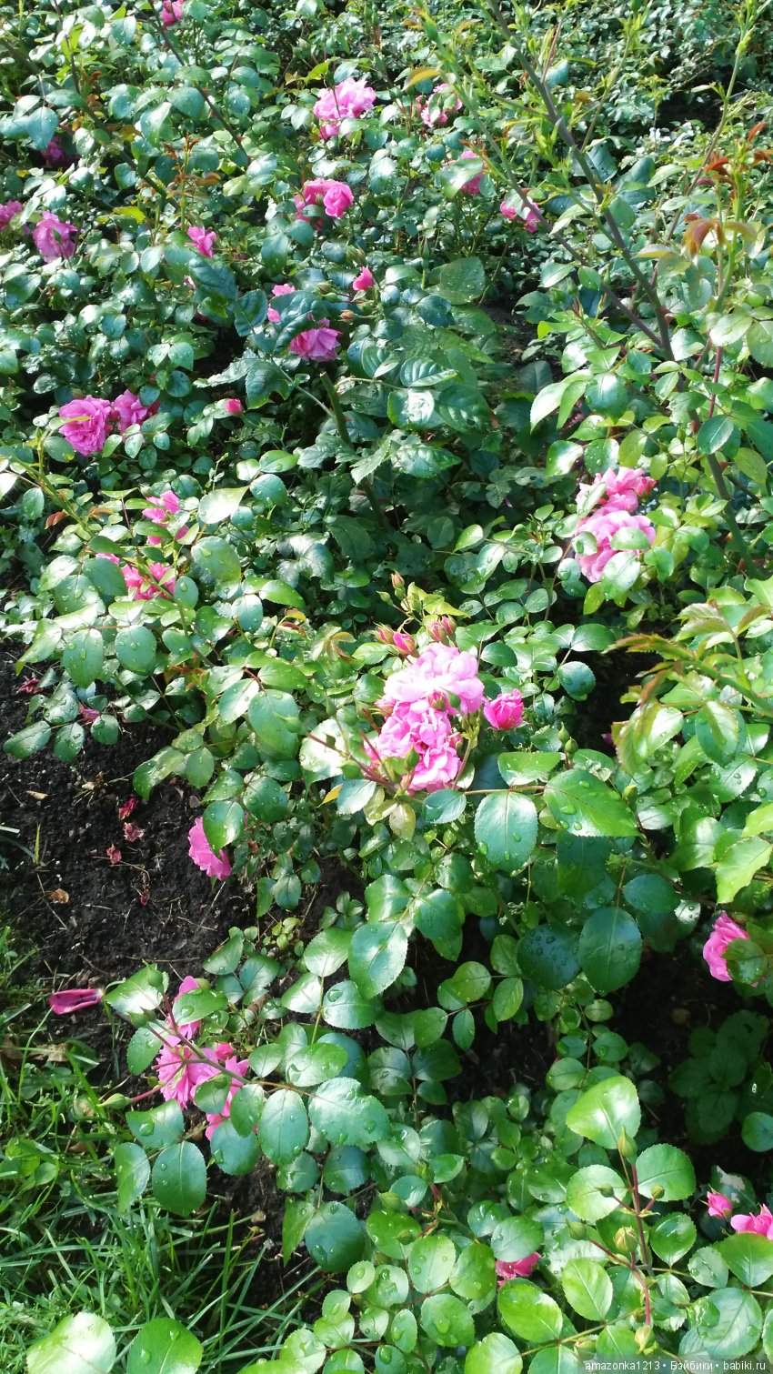 Прогулки по Москве . Усадьба Измайлово