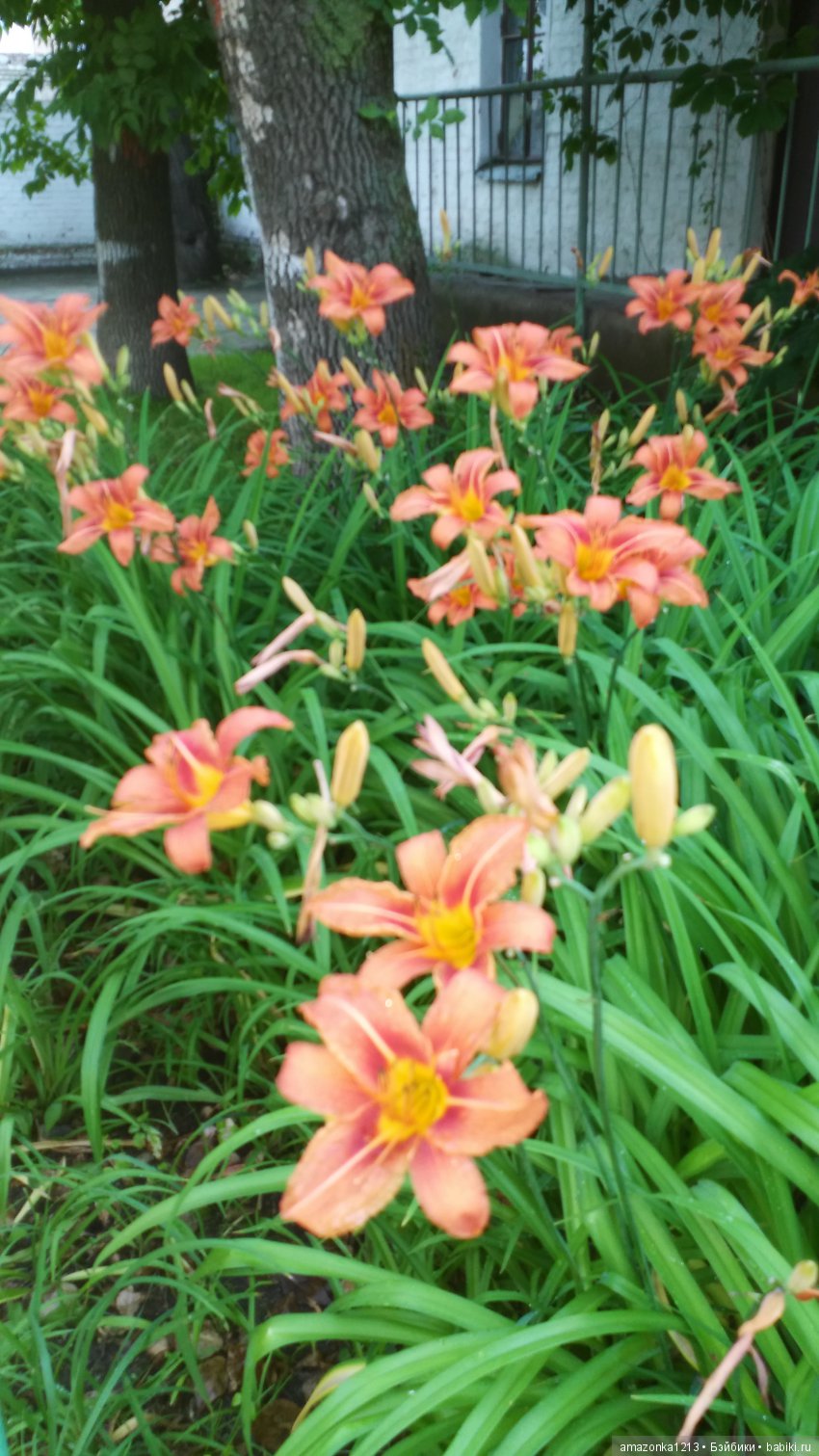 Прогулки по Москве . Усадьба Измайлово