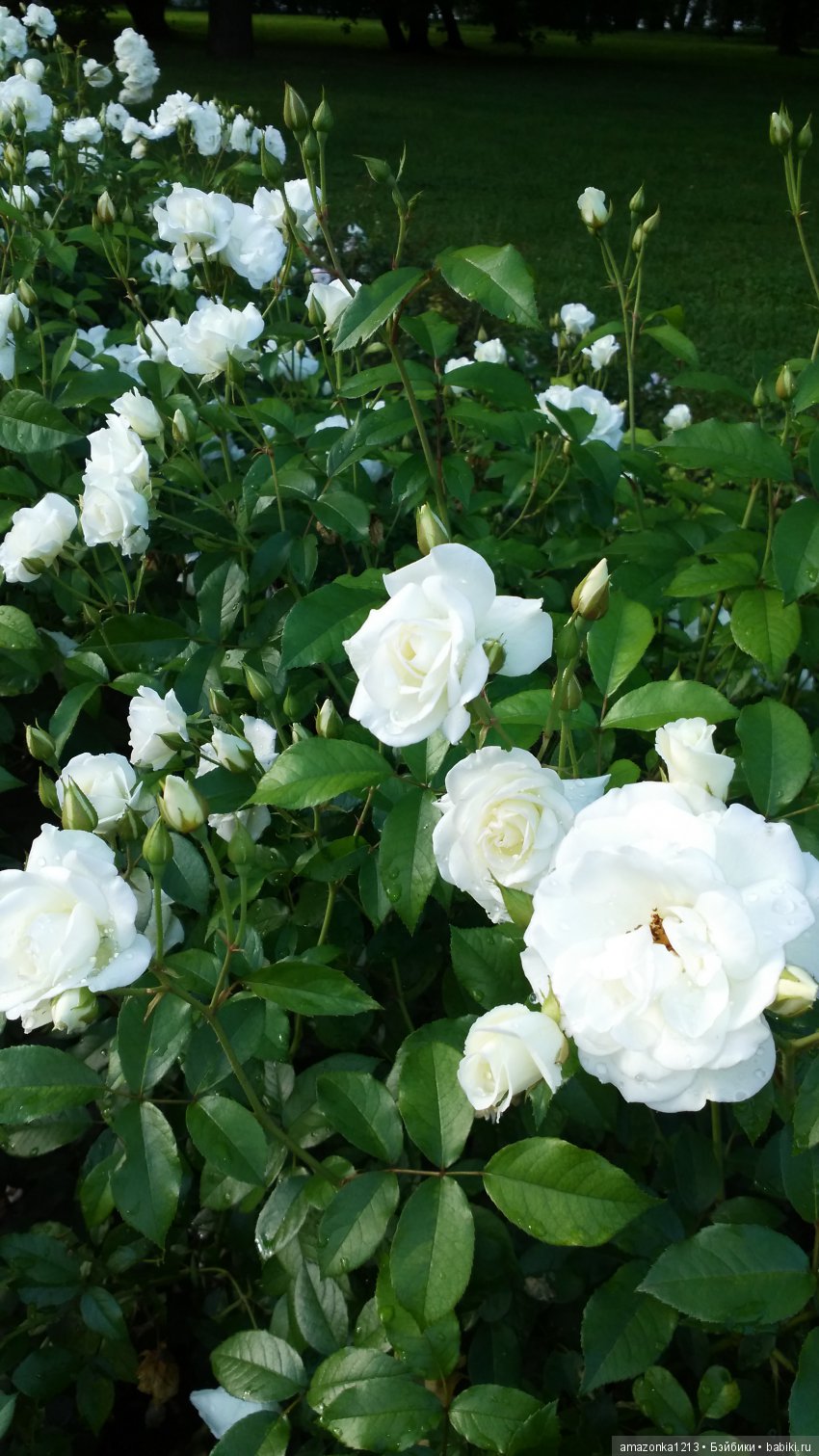 Прогулки по Москве . Усадьба Измайлово