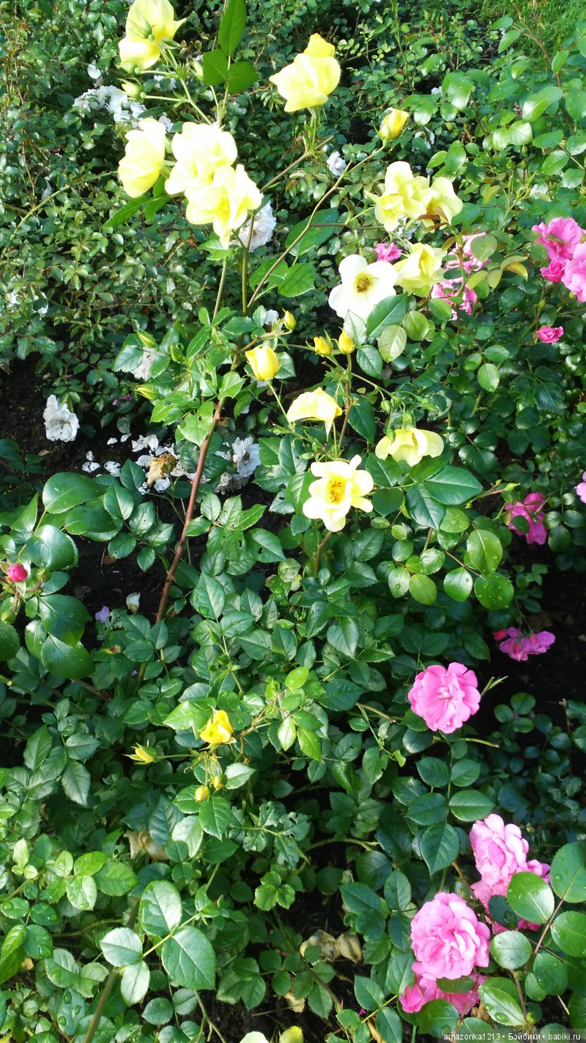 Прогулки по Москве . Усадьба Измайлово