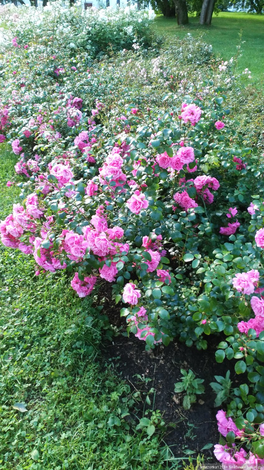 Прогулки по Москве . Усадьба Измайлово