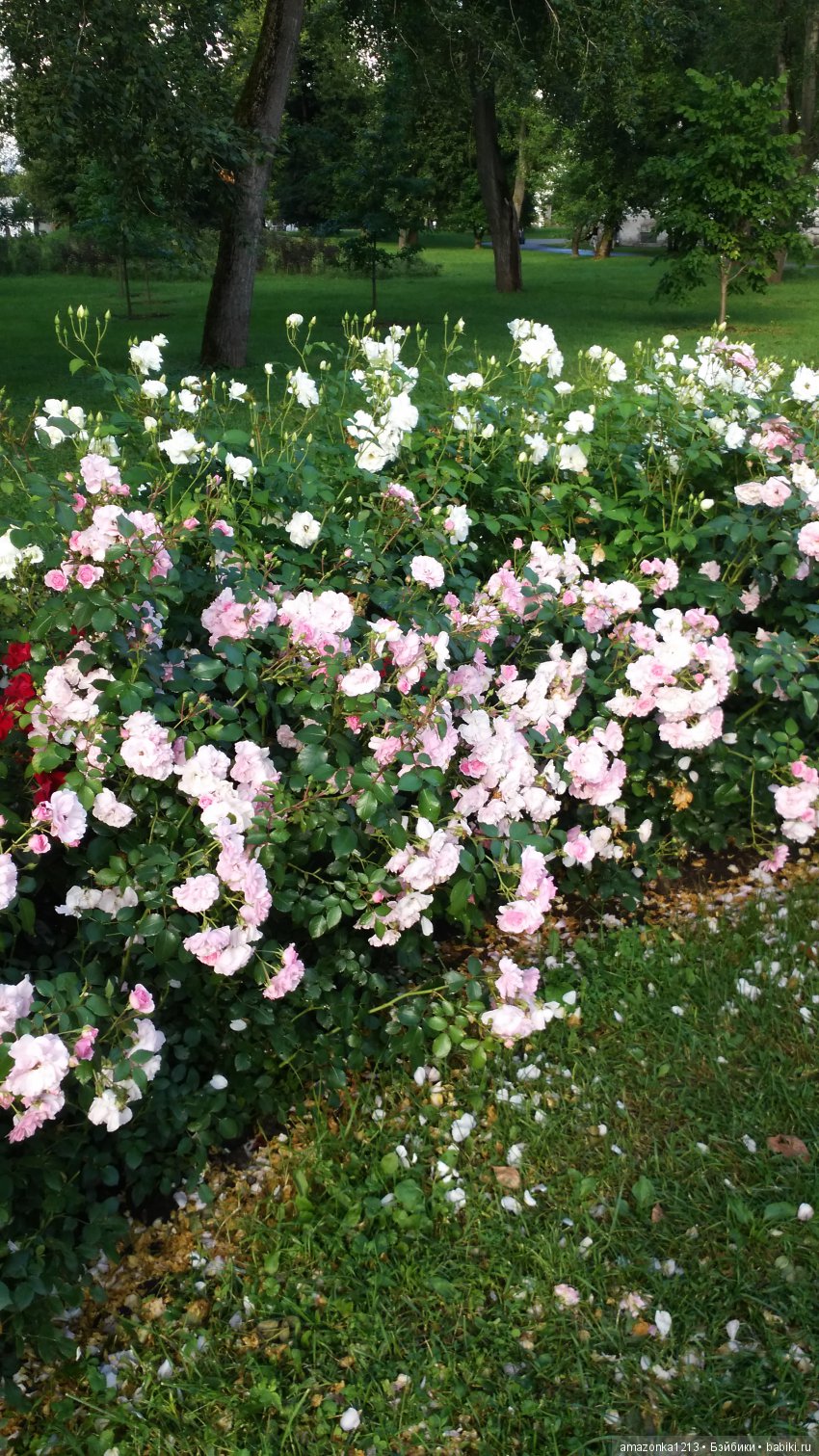 Прогулки по Москве . Усадьба Измайлово