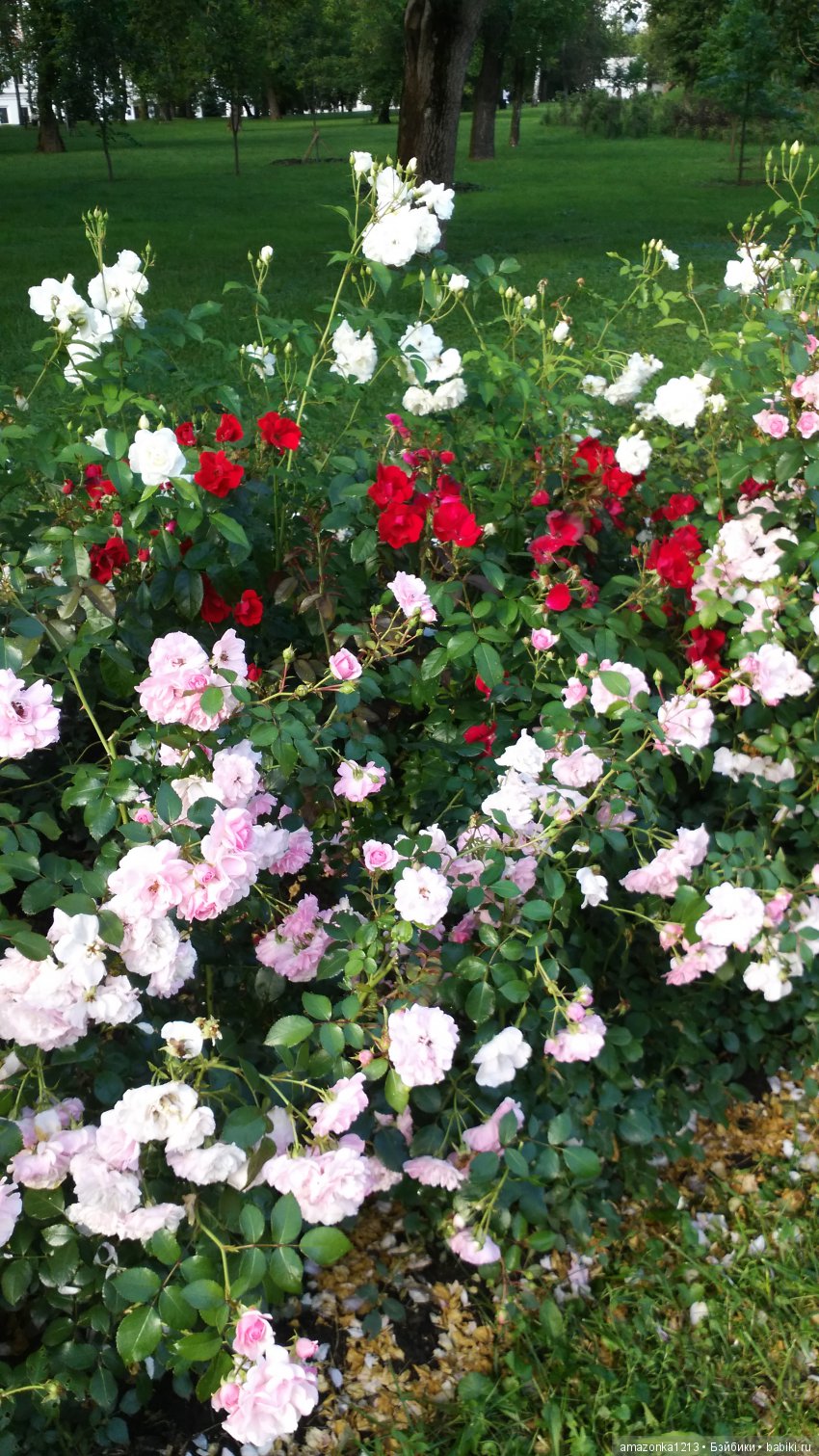 Прогулки по Москве . Усадьба Измайлово