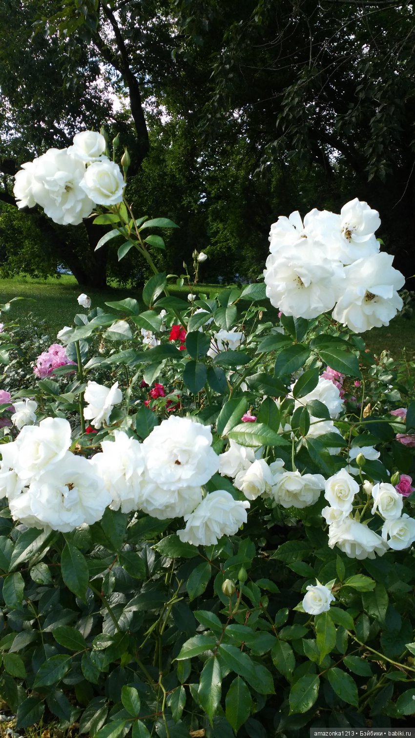 Прогулки по Москве . Усадьба Измайлово