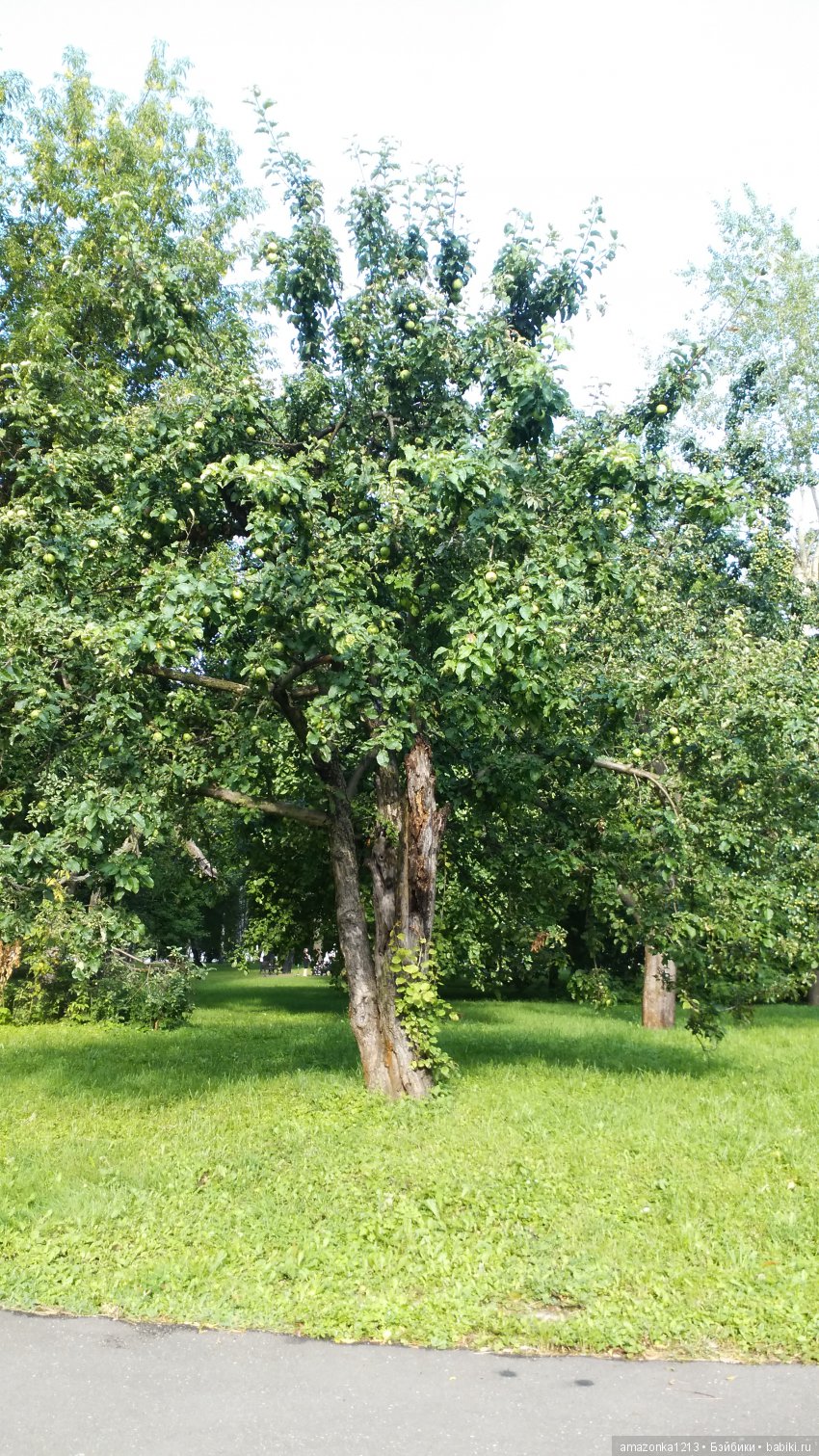 Прогулки по Москве . Усадьба Измайлово
