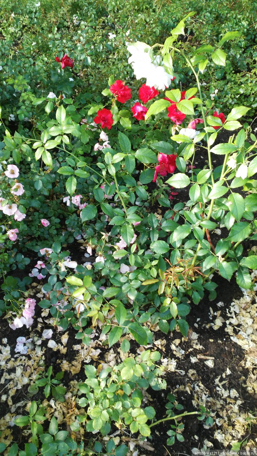 Прогулки по Москве . Усадьба Измайлово