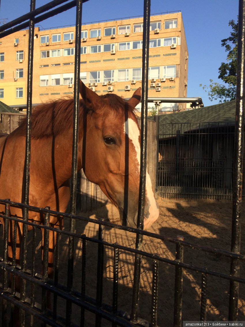 Куклы тоже уходят на пенсию ИЛИ " нет повести печальнее на свете "