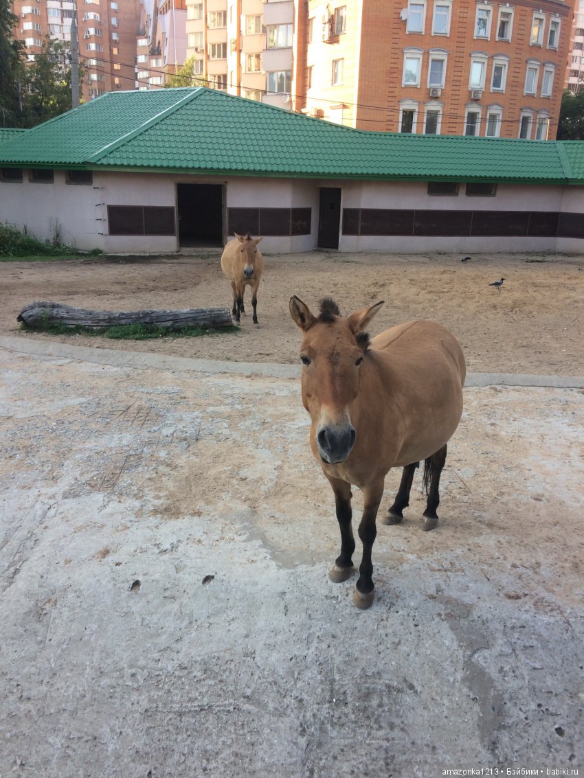 Куклы тоже уходят на пенсию ИЛИ " нет повести печальнее на свете "